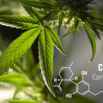 cannabidiol (CBD)