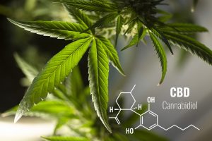 cannabidiol (CBD)