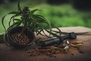 CBD for Seniors